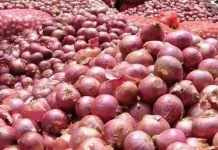 अगले महीने से बेरोकटेक प्याज एक्सपोर्ट कर सकेंगे किसान